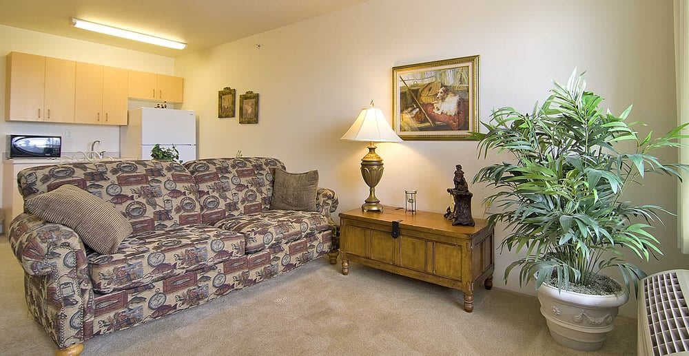 A cozy living room with a patterned sofa, a lamp on a wooden coffee table, and decorative elements including a painting and an indoor plant.