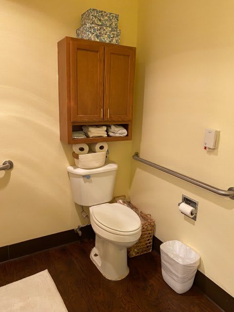A small bathroom with a toilet, storage cabinet, and handrails.