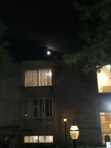 A serene night scene featuring the moon peeking through the clouds above a building.