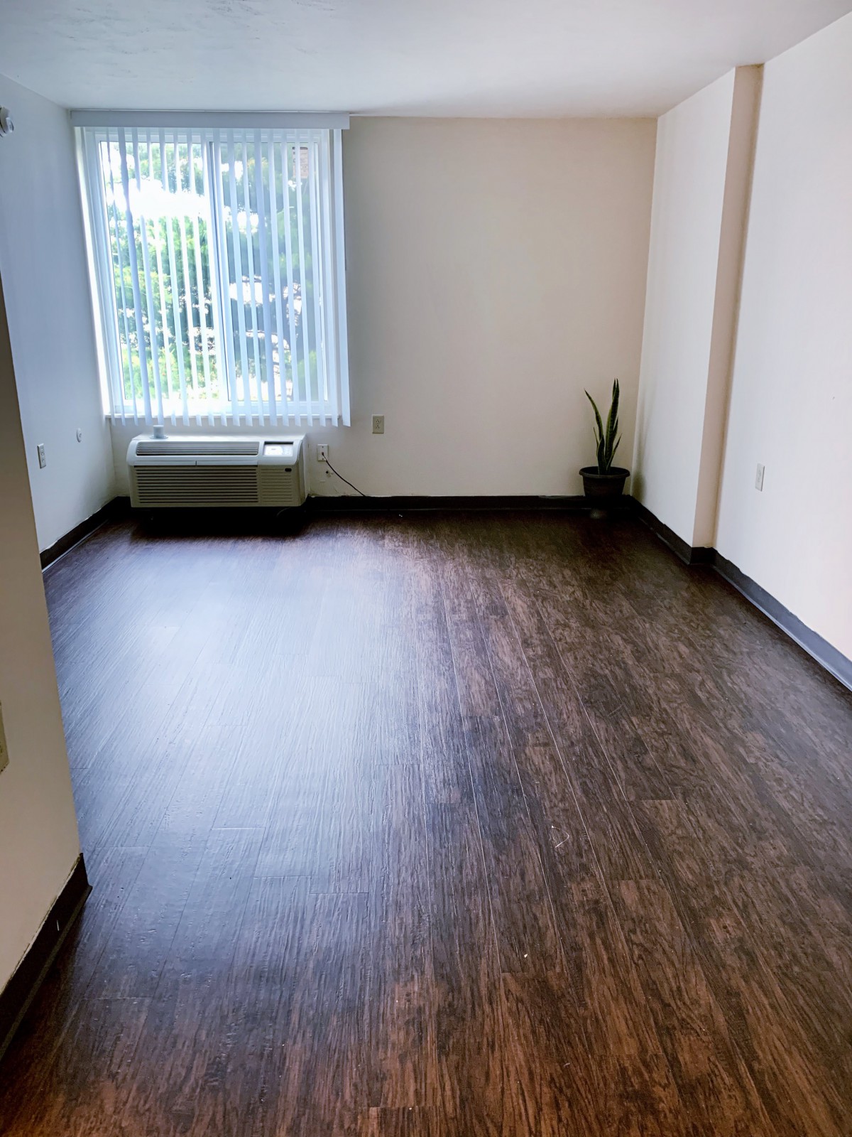 An empty room with wood flooring, a window allowing natural light, and a small potted plant in the corner.