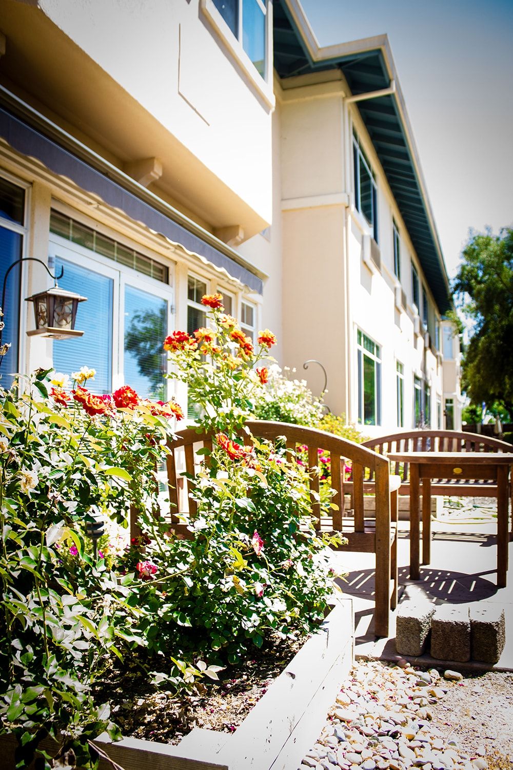 A sunny patio with blooming flowers, a wooden table, and chairs.