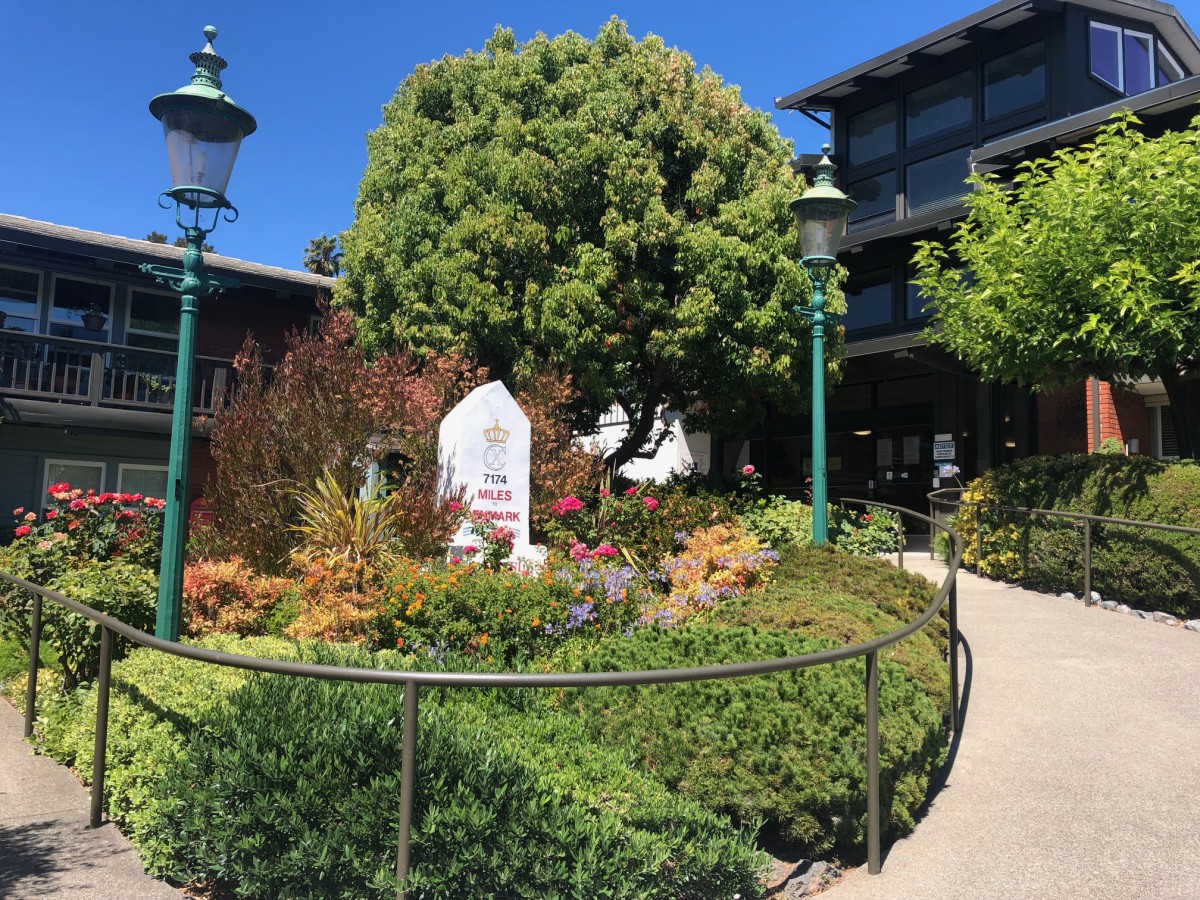 A vibrant garden with lush greenery and colorful flowers surrounded by a building and lamp posts.