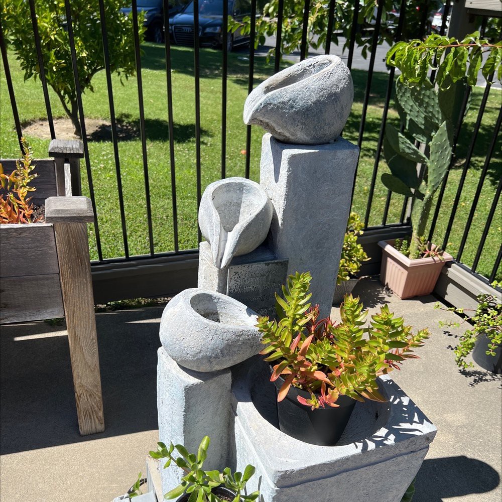 A decorative stone fountain with plants in a garden setting.
