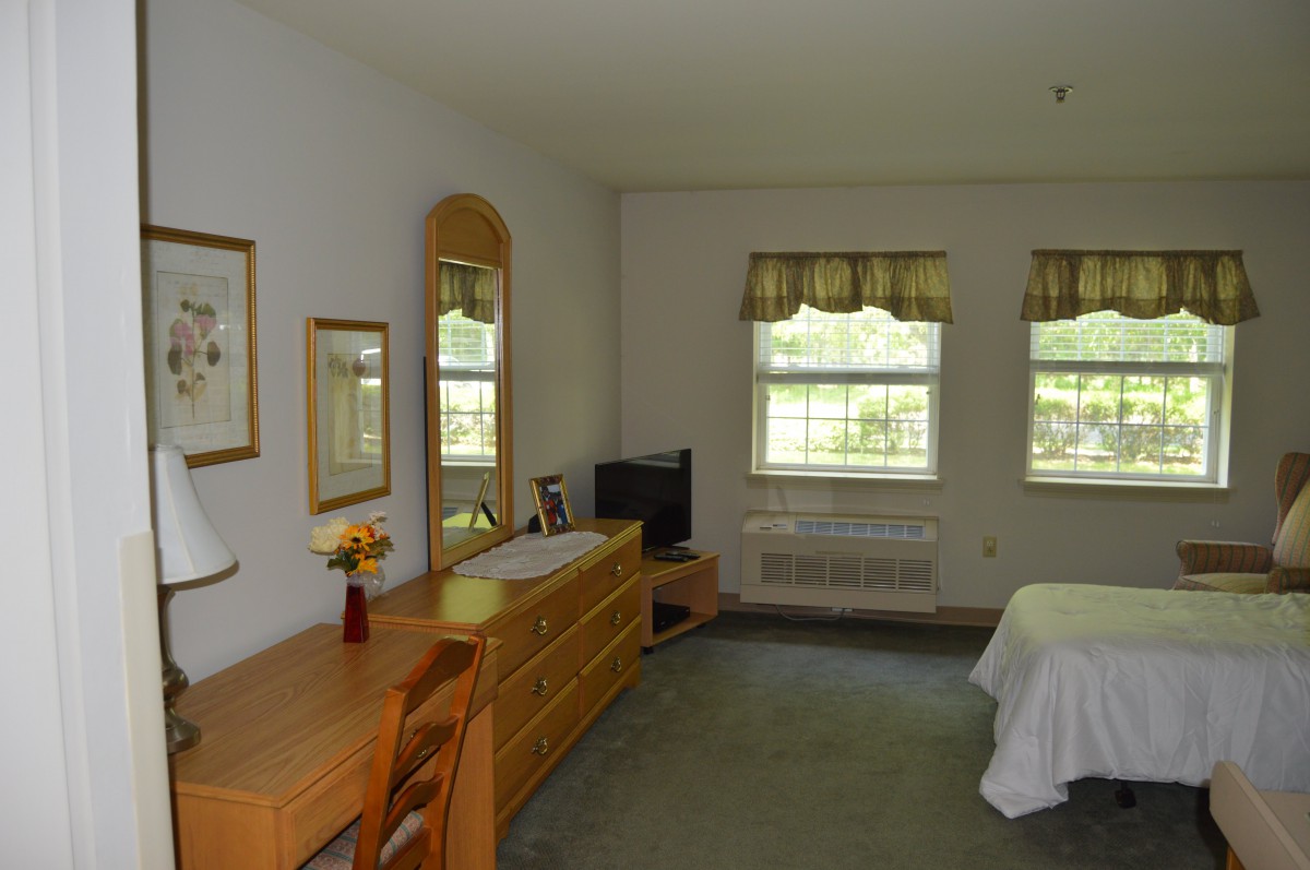 A cozy bedroom with a dresser, mirror, and television under two windows.