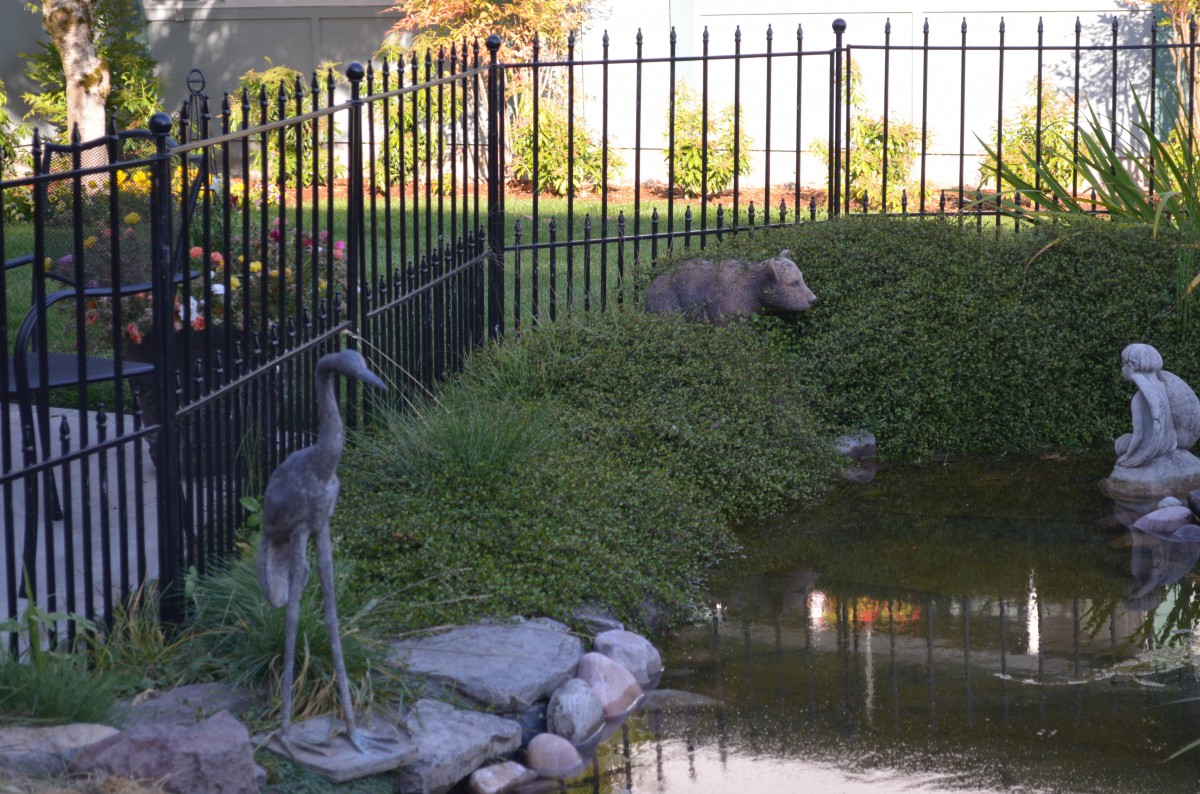 A heron and an opossum near a pond, with a fence in the background.