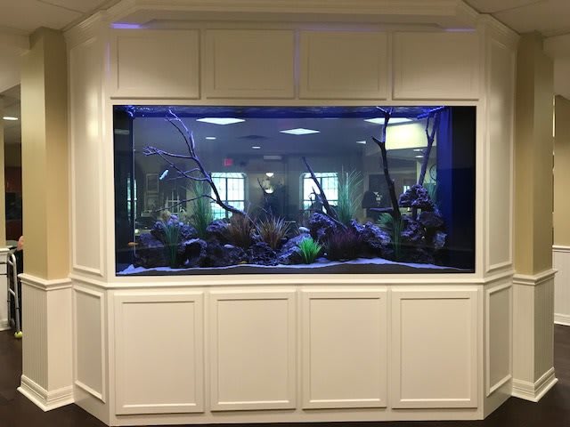 A large indoor aquarium with decorative elements, showcasing marine life in a well-lit setting.
