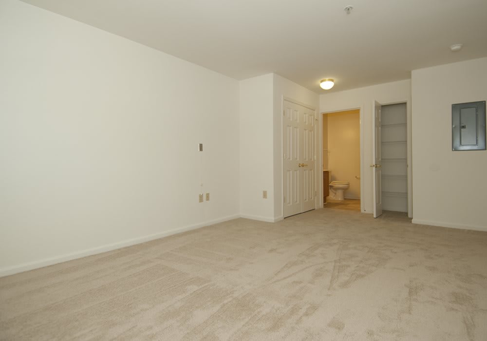 A minimalist interior with carpeted flooring and doors leading to adjoining spaces.