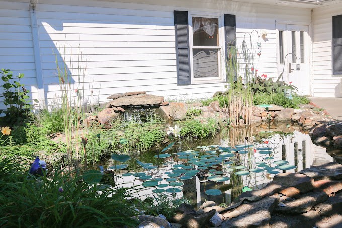Vintage Park At Louisburg