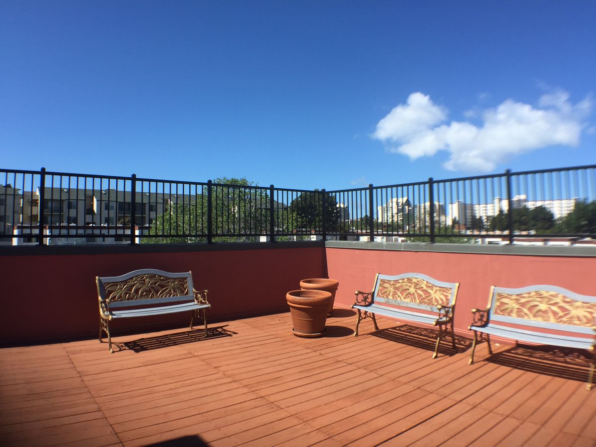 A sunny rooftop deck with benches and potted plants, enclosed by a fence.