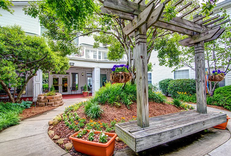 A beautifully landscaped garden with a bench and pergola, surrounded by lush greenery in front of a building.