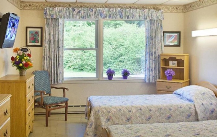 Skyview Rehab And Nursing