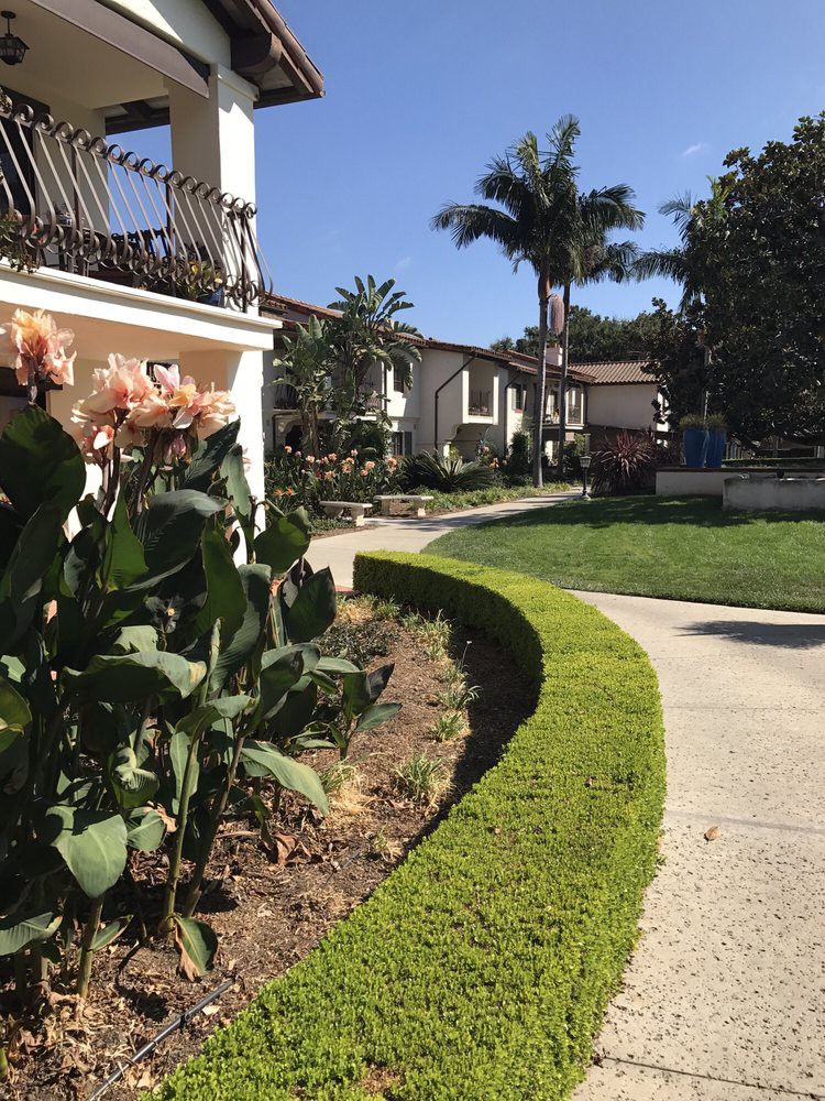 A sunny garden path lined with flowers and palm trees near residential houses.
