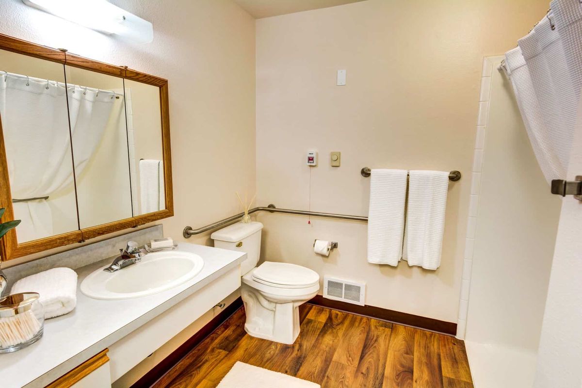 Accessible bathroom with wooden flooring, featuring a sink, toilet, mirror, and handrails.