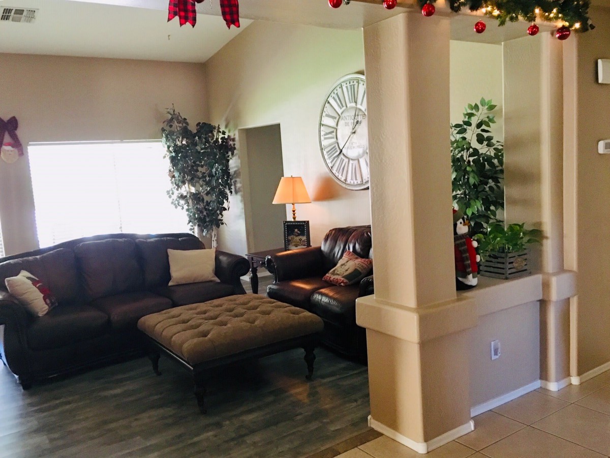 A cozy living room with a brown sofa, indoor plants, and decorative elements.