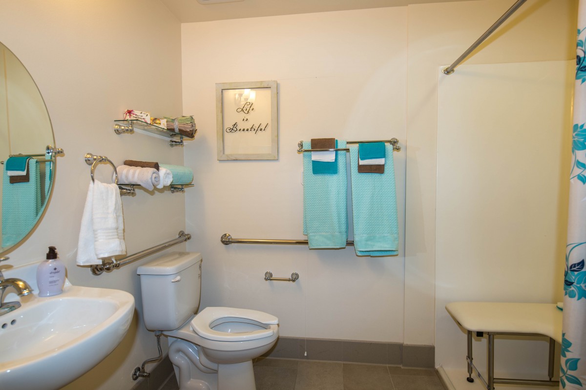An accessible bathroom with a toilet, sink, and shower equipped with grab bars and teal towels.