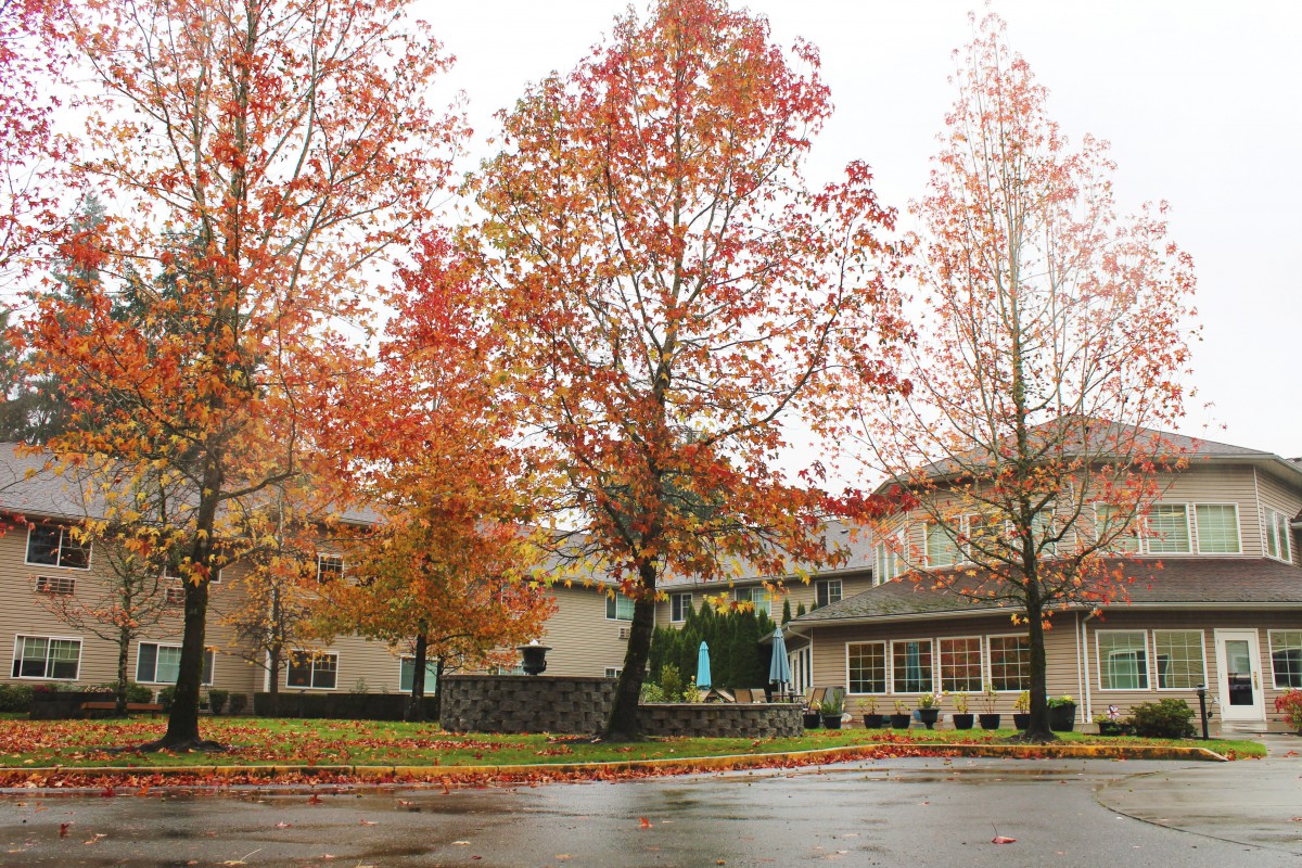 A serene view of vibrant autumn trees in front of a building on an overcast day.