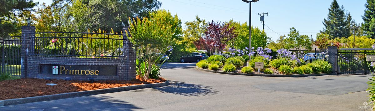 A sunny parking lot with well-maintained landscaping and parked cars.