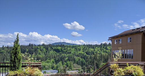 A serene view of lush green hills under a clear blue sky.