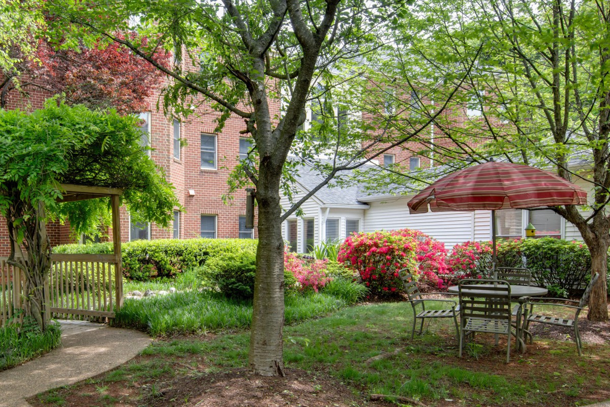 A serene garden with a tree and seating area featuring a table, chairs, and an umbrella.