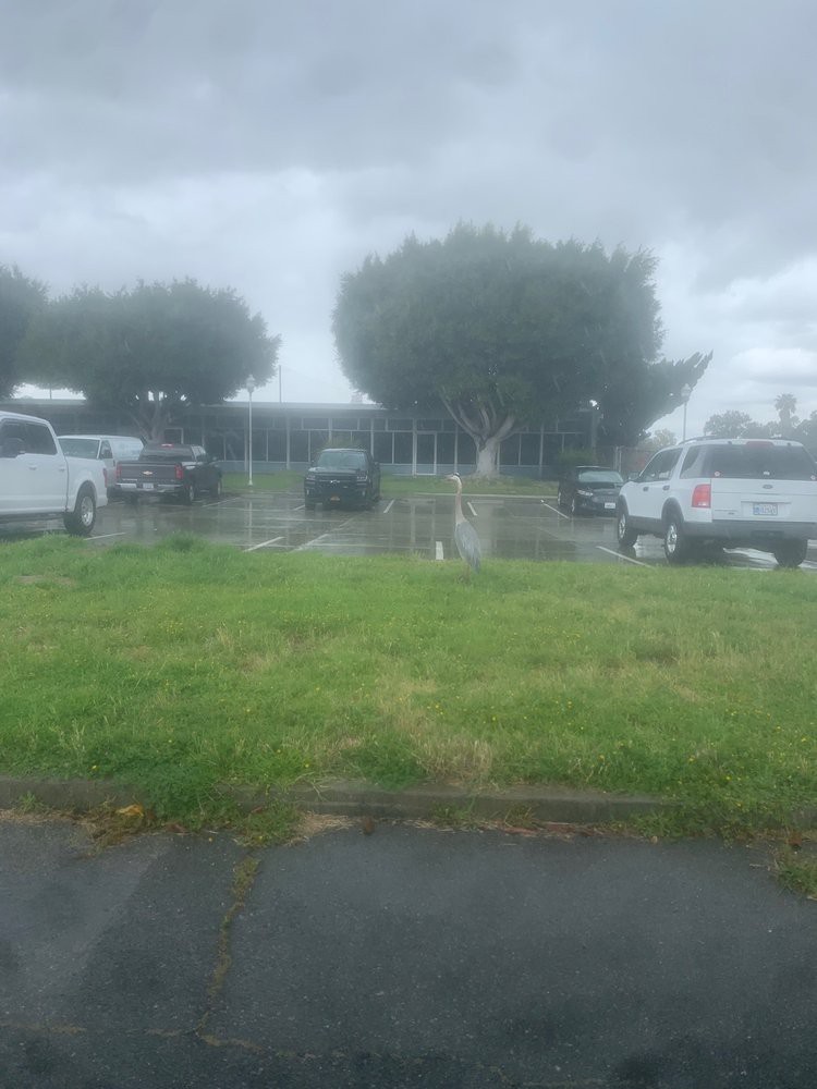Fairview Developmental Center