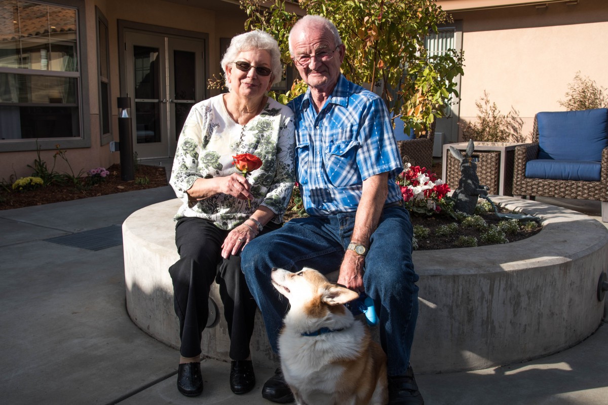 An elderly couple sitting together outside with a dog on a sunny day in the garden.