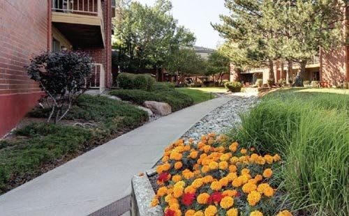 A beautifully landscaped residential garden with a pathway lined with colorful flowers.