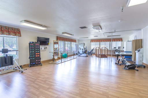 A spacious gym area equipped with various exercise machines and bright natural lighting.