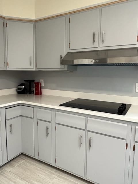 Modern kitchen with a stovetop and white cabinets.
