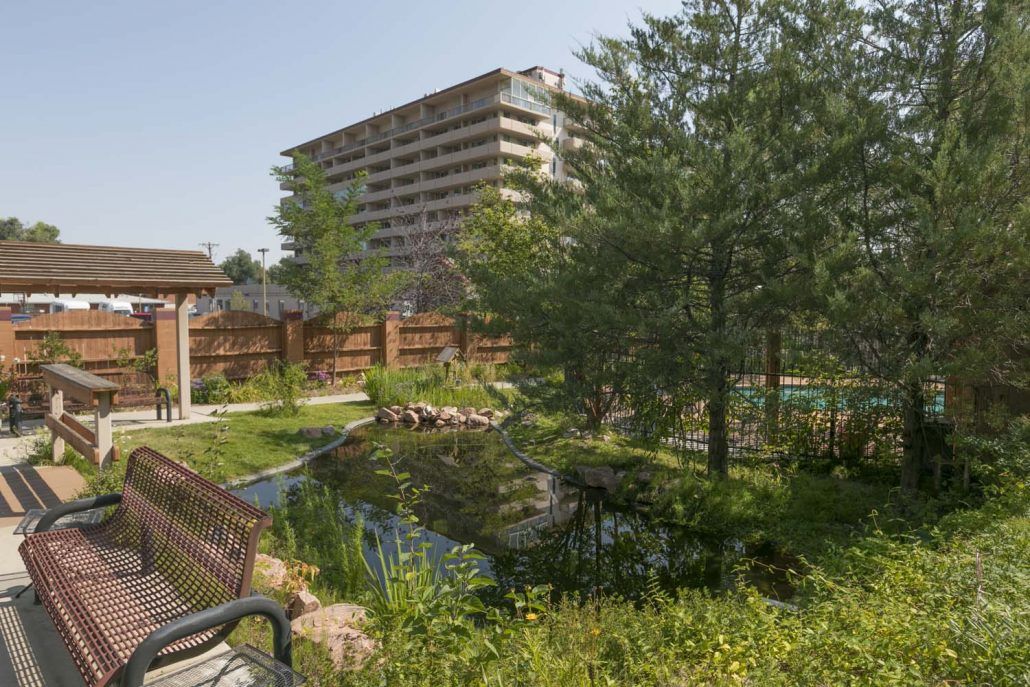 A serene urban garden with a pond and benches, surrounded by trees and a tall building in the background.