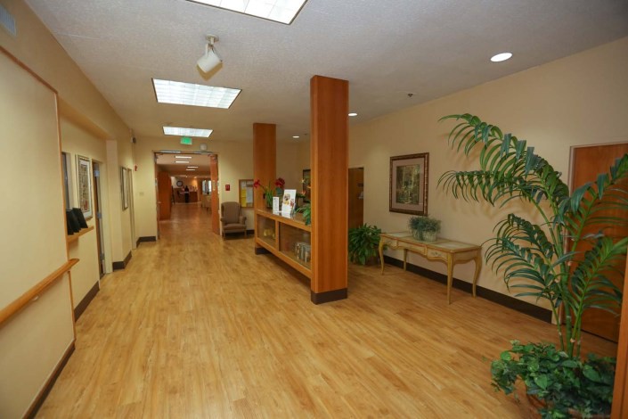 A well-lit hallway with wooden floors and potted plants, featuring furniture and ceiling lights.