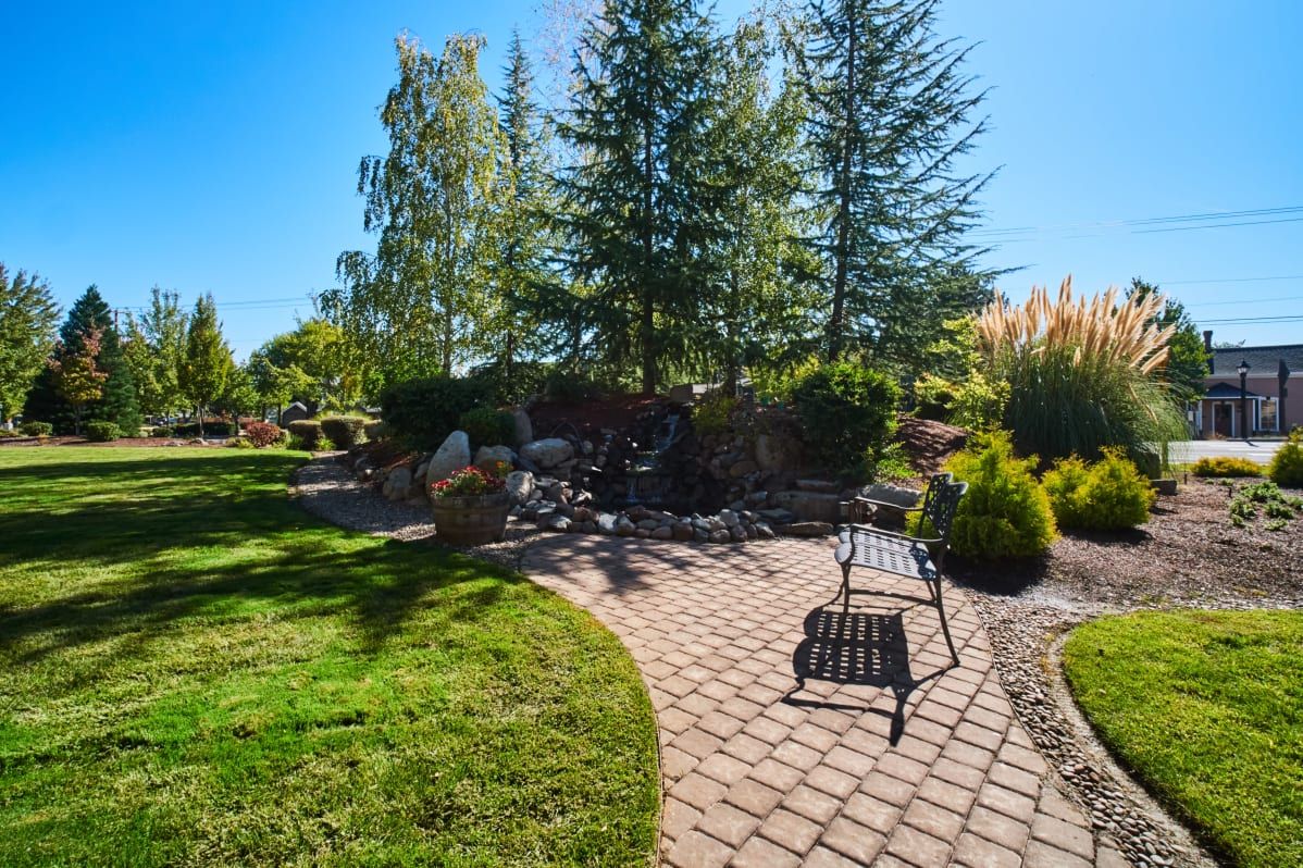 A serene garden with a stone pathway and a bench under tall trees on a sunny day.