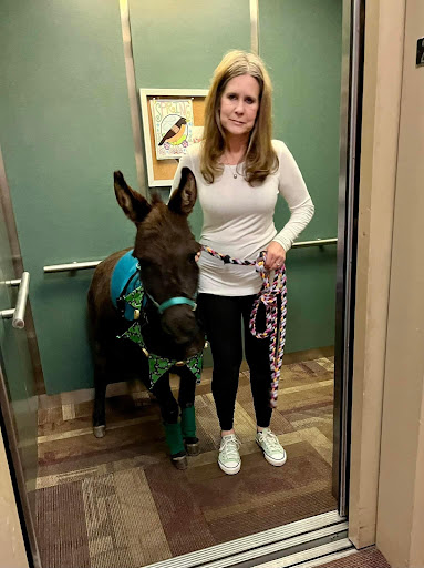 A woman in an elevator with a miniature horse, showcasing the bond between humans and animals.