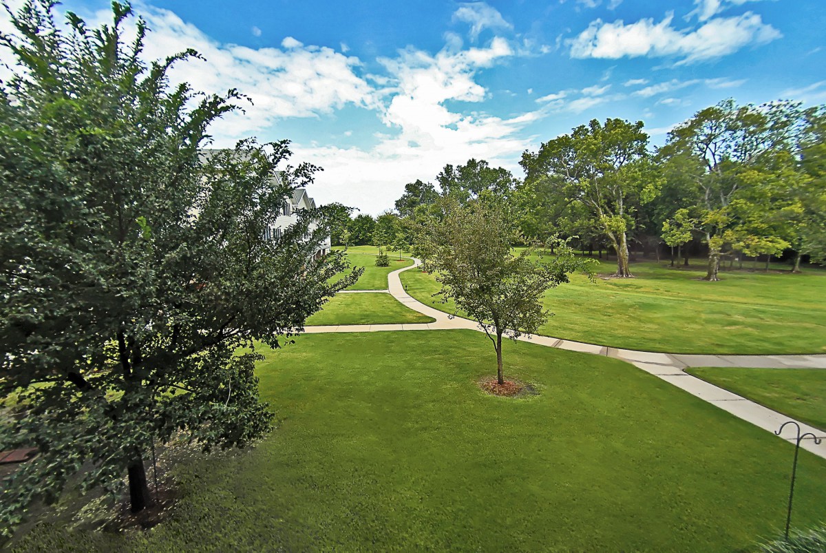 A scenic view of a park with lush green grass, trees, and a winding pathway under a blue sky.