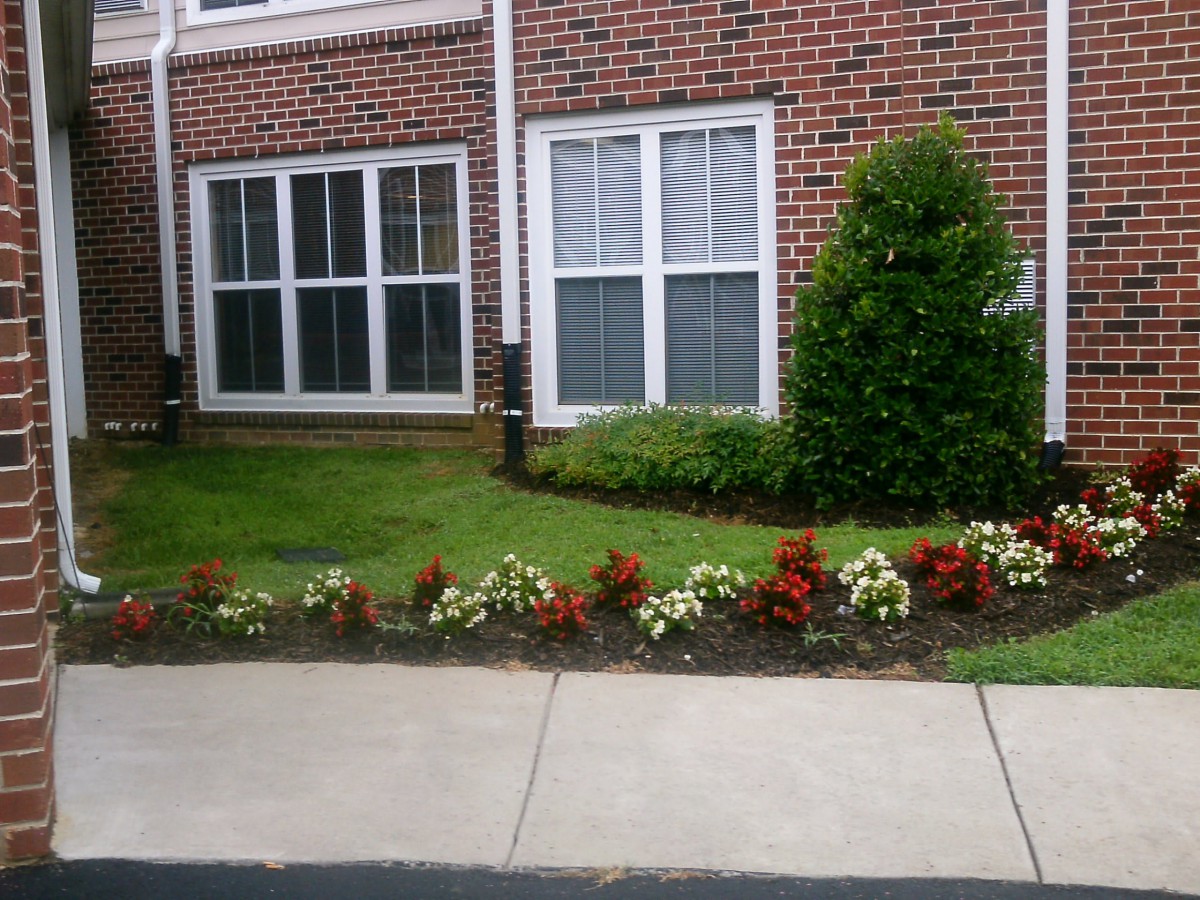 A landscaped garden with flowers and a shrub in front of a brick building with large windows.