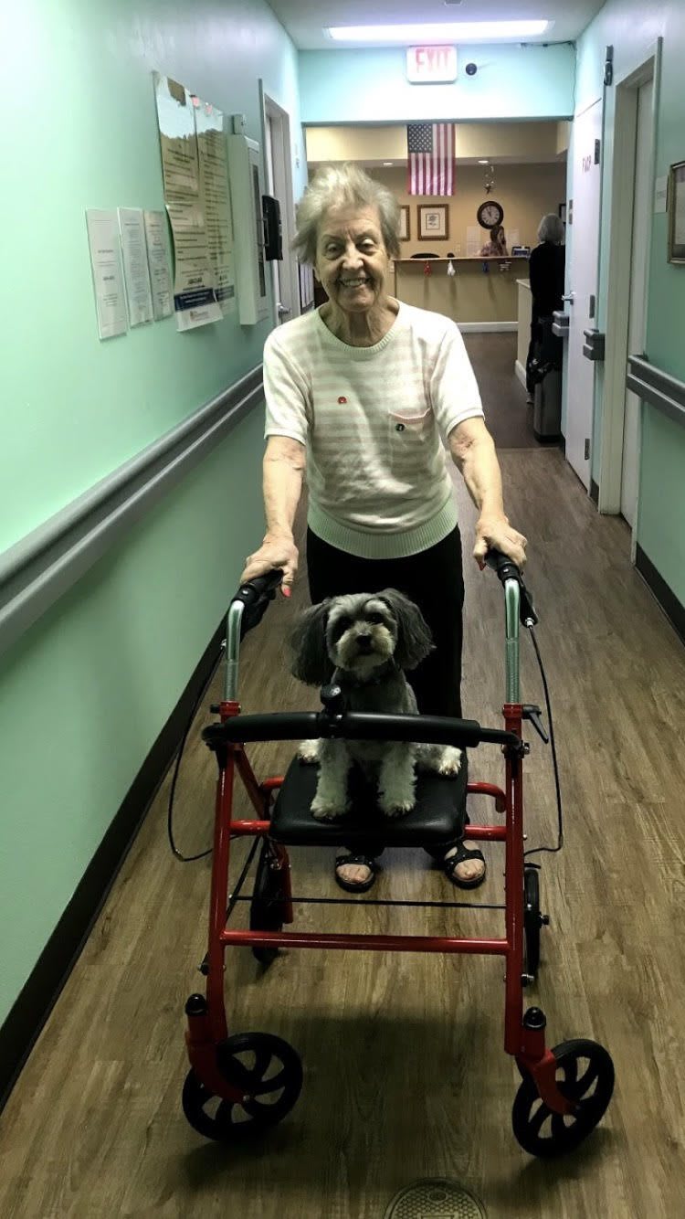 An elderly person uses a walker while carrying a dog in a hallway.