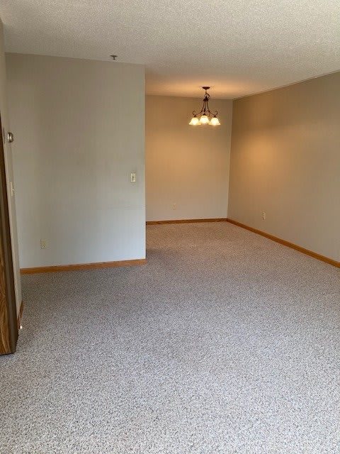 An empty living room with carpeted flooring and a ceiling light fixture.