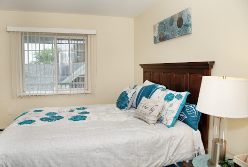 A cozy and well-decorated bedroom featuring blue and white accents.