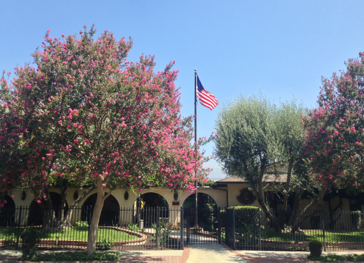 A sunny day at a building with an American flag and blooming trees.