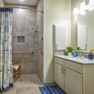 A modern bathroom with a tiled shower area, vanity with mirror, and decorative elements.