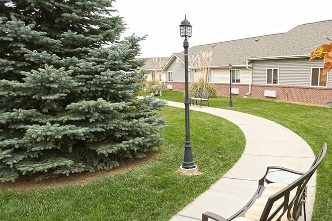 A scenic pathway with a lamp post and benches, lined by a lush green lawn and a tall pine tree, leading to a building.