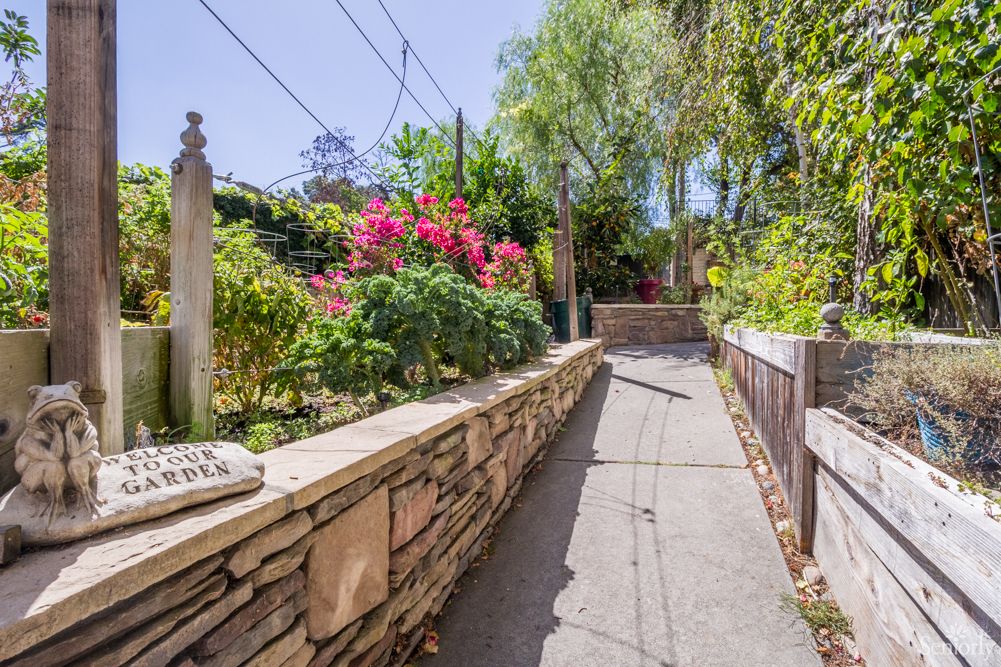 A sunny pathway lined with vibrant flowers and lush greenery, bordered by a stone wall.