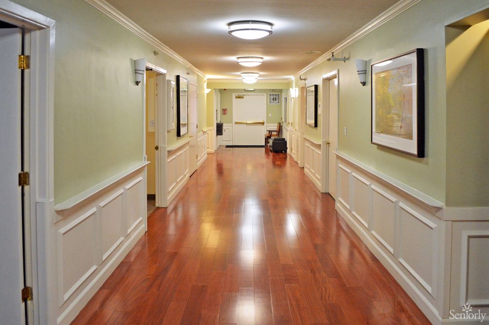 A well-lit hallway with wooden flooring and multiple doors.