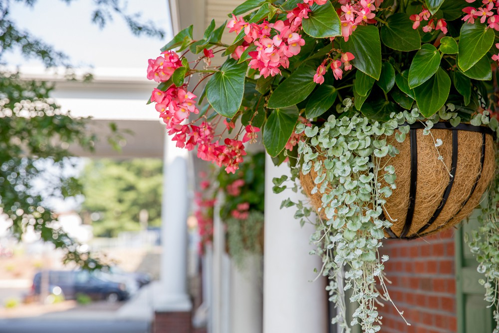 Rose Wood Village Assisted Living