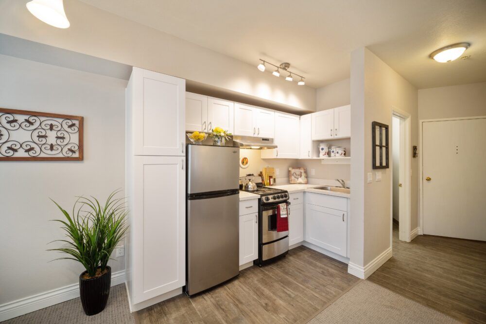 A modern, compact kitchen with stainless steel appliances and white cabinets, featuring a small indoor plant for decoration.