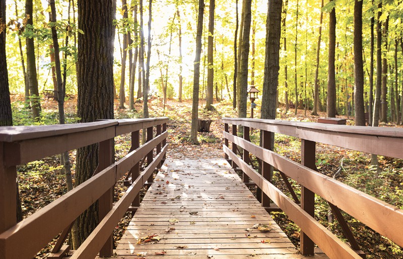 A wooden bridge leading through a sunlit forest in autumn.