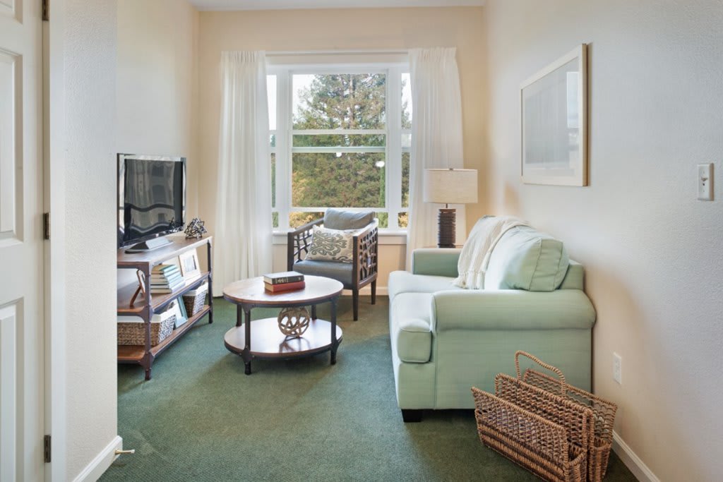 A cozy living room with modern furnishings, including a sofa, armchair, coffee table, and TV.