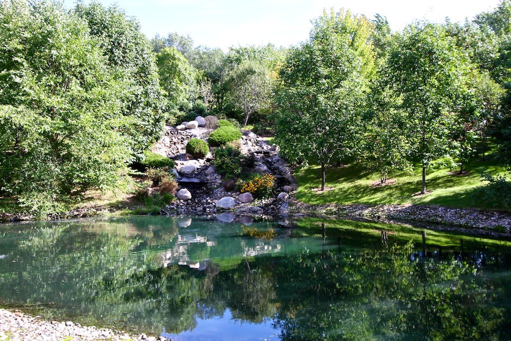 A tranquil pond surrounded by lush greenery and rocks, reflecting the natural beauty of the landscape.
