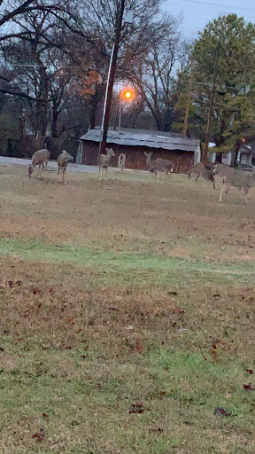Callaway Nursing Home