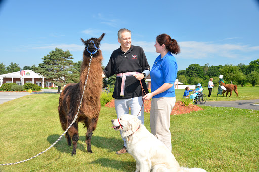 A man and a woman interact with a llama and a dog during an outdoor pet therapy event.