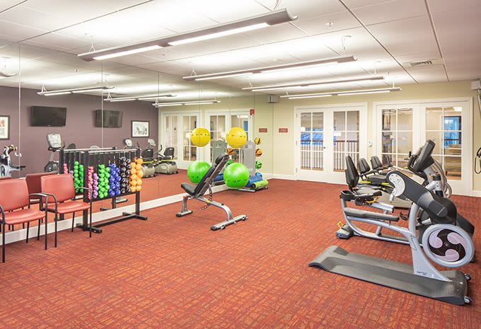 A well-equipped gym with various exercise machines and weights.
